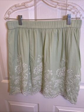 LOFT   ANN TAYLOR                               Pastel Pastel Green Skirt